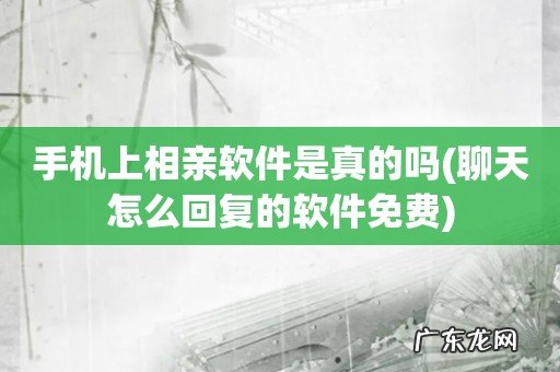 聊天怎么回复的软件免费 手机上相亲软件是真的吗
