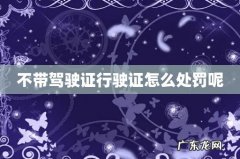 不带驾驶证行驶证怎么处罚呢