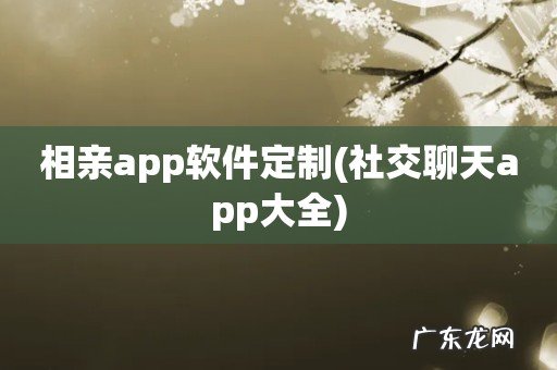 社交聊天app大全 相亲app软件定制