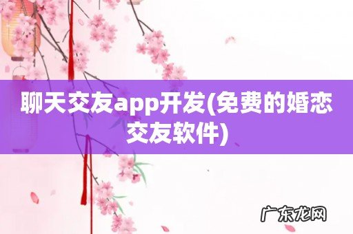 免费的婚恋交友软件 聊天交友app开发