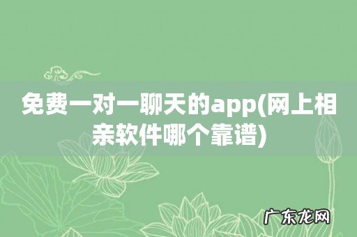 网上相亲软件哪个靠谱 免费一对一聊天的app