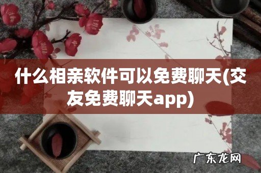 交友免费聊天app 什么相亲软件可以免费聊天