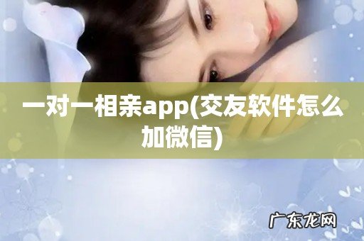 交友软件怎么加微信 一对一相亲app