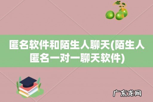 陌生人匿名一对一聊天软件 匿名软件和陌生人聊天