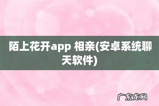 安卓系统聊天软件 陌上花开app 相亲