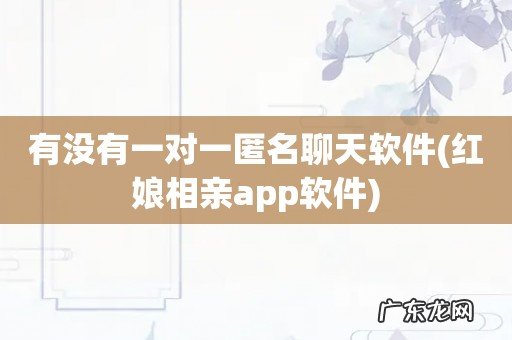 红娘相亲app软件 有没有一对一匿名聊天软件