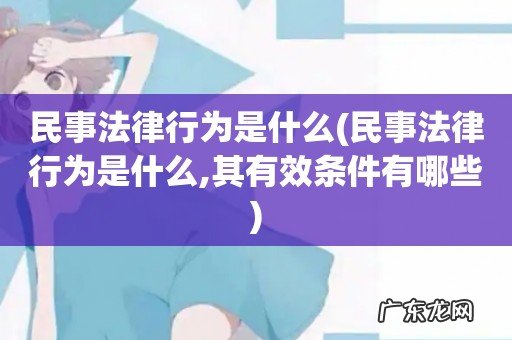 民事法律行为是什么,其有效条件有哪些 民事法律行为是什么
