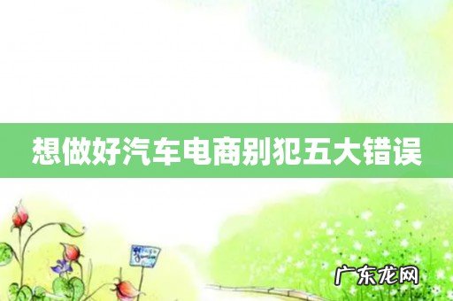 想做好汽车电商别犯五大错误