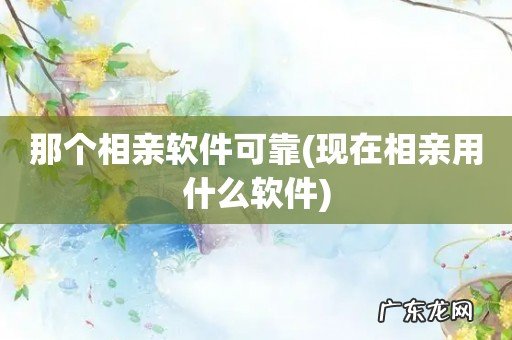 现在相亲用什么软件 那个相亲软件可靠