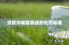 贷款诈骗罪既遂的处罚标准