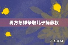 男方怎样争取儿子抚养权