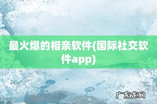 国际社交软件app 最火爆的相亲软件