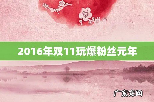 2016年双11玩爆粉丝元年