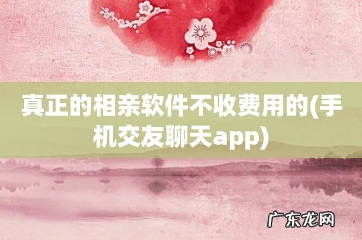 手机交友聊天app 真正的相亲软件不收费用的