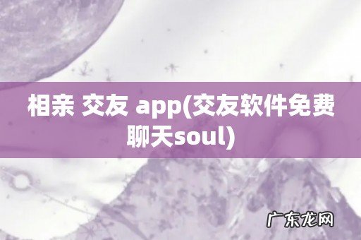 交友软件免费聊天soul 相亲 交友 app