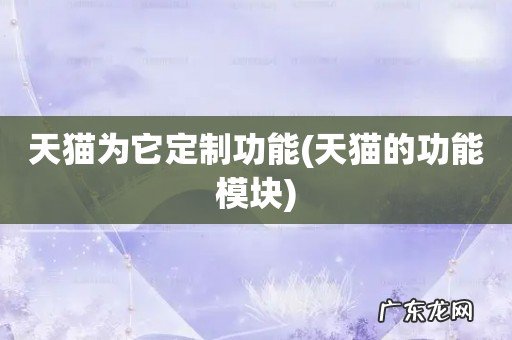 天猫的功能模块 天猫为它定制功能