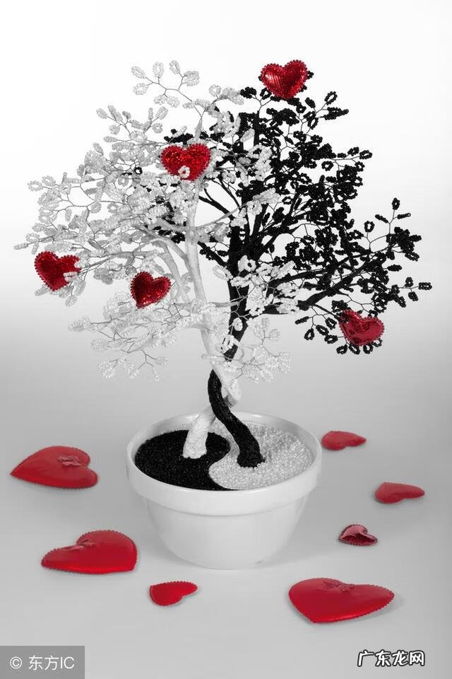 催桃花真实案例 风水v型桃花案例