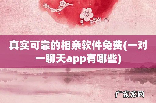 一对一聊天app有哪些 真实可靠的相亲软件免费