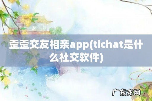tichat是什么社交软件 歪歪交友相亲app