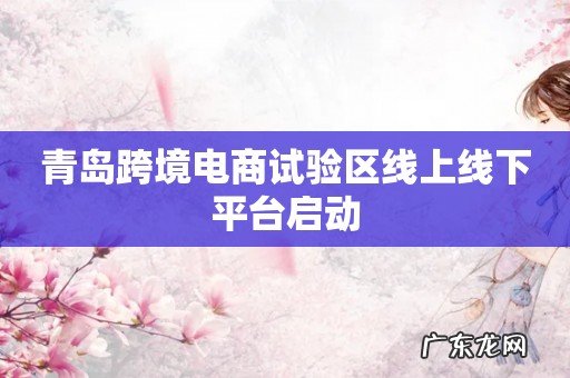 青岛跨境电商试验区线上线下平台启动