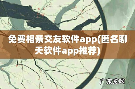 匿名聊天软件app推荐 免费相亲交友软件app