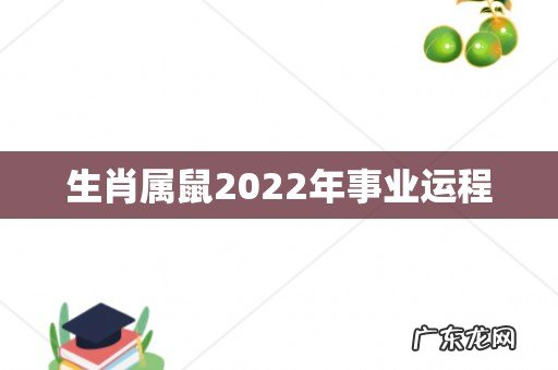 生肖属鼠2022年事业运程