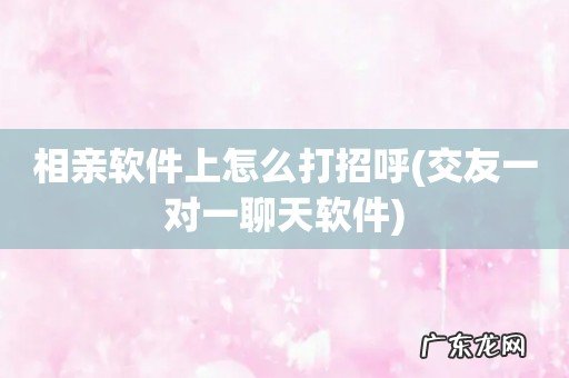 交友一对一聊天软件 相亲软件上怎么打招呼