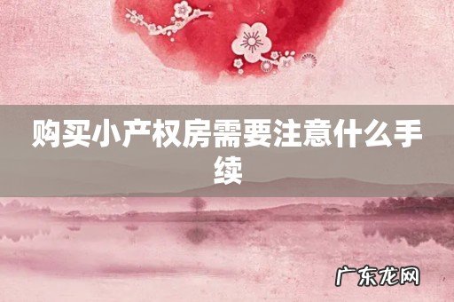 购买小产权房需要注意什么手续