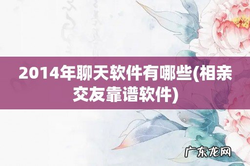 相亲交友靠谱软件 2014年聊天软件有哪些