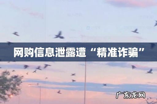 网购信息泄露遭“精准诈骗”