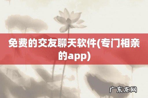 专门相亲的app 免费的交友聊天软件