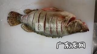 清蒸桂鱼怎么做才好吃 清蒸桂鱼的做法大全