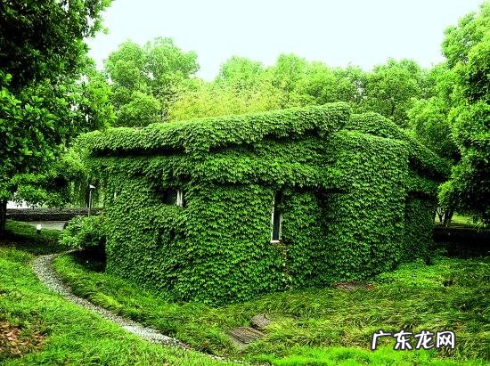 风水真的能治百病吗 肿瘤风水破解