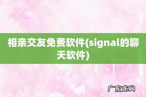signal的聊天软件 相亲交友免费软件