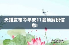 天猫发布今年双11会场解说信息!