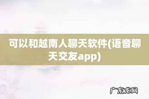 语音聊天交友app 可以和越南人聊天软件