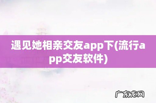 流行app交友软件 遇见她相亲交友app下