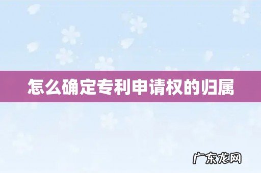 怎么确定专利申请权的归属