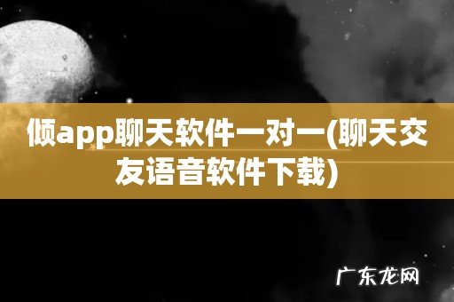 聊天交友语音软件下载 倾app聊天软件一对一