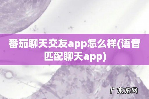 语音匹配聊天app 番茄聊天交友app怎么样