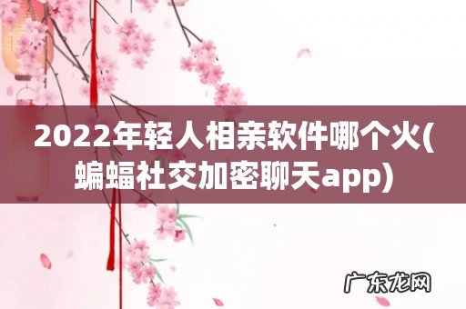 蝙蝠社交加密聊天app 2022年轻人相亲软件哪个火
