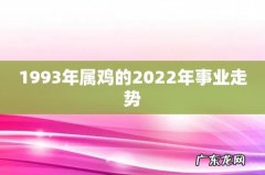 1993年属鸡的2022年事业走势
