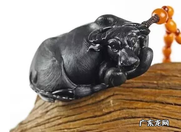 牲畜圈风水 家畜牛风水