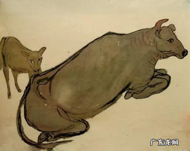 牲畜圈风水 家畜牛风水