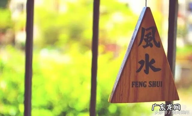 多肉放在哪里风水好 进门放什么多肉风水好呢