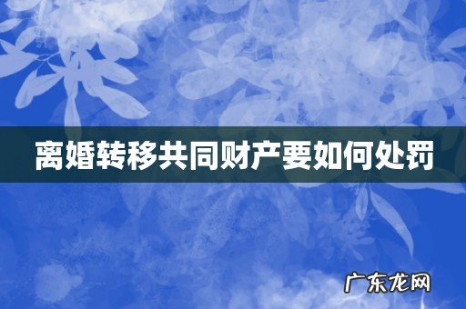 离婚转移共同财产要如何处罚