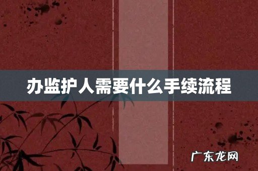 办监护人需要什么手续流程