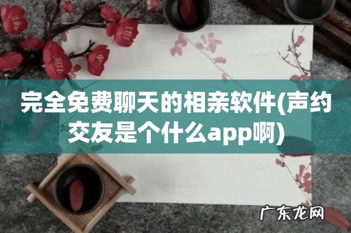 声约交友是个什么app啊 完全免费聊天的相亲软件