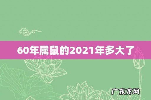 60年属鼠的2021年多大了