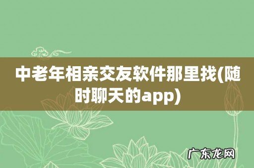 随时聊天的app 中老年相亲交友软件那里找
